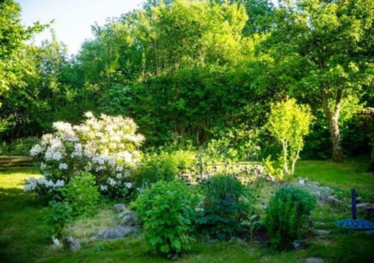 Bed and Breakfast L'Embellie Bertignat Exterior foto